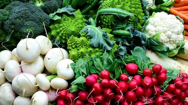 Die GENUSSpartner unseres Hotels in Schladming mit 4 Sternen Die GENUSSpartner unseres Hotels in Schladming mit 4 Sternen