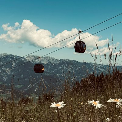 Herbstauszeit Herbstauszeit