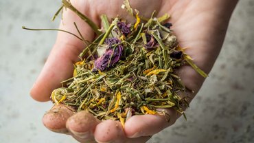 Die GENUSSpartner unseres Hotels in Schladming mit 4 Sternen Die GENUSSpartner unseres Hotels in Schladming mit 4 Sternen