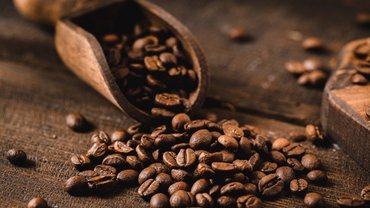 Die GENUSSpartner unseres Hotels in Schladming mit 4 Sternen Die GENUSSpartner unseres Hotels in Schladming mit 4 Sternen