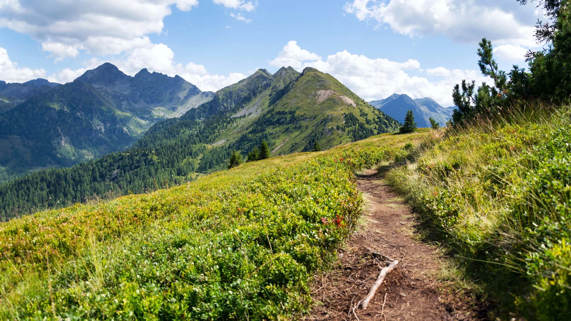 Summer activities in Austria: in Schladming! Summer activities in Austria: in Schladming!