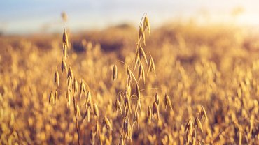 Die GENUSSpartner unseres Hotels in Schladming mit 4 Sternen Die GENUSSpartner unseres Hotels in Schladming mit 4 Sternen